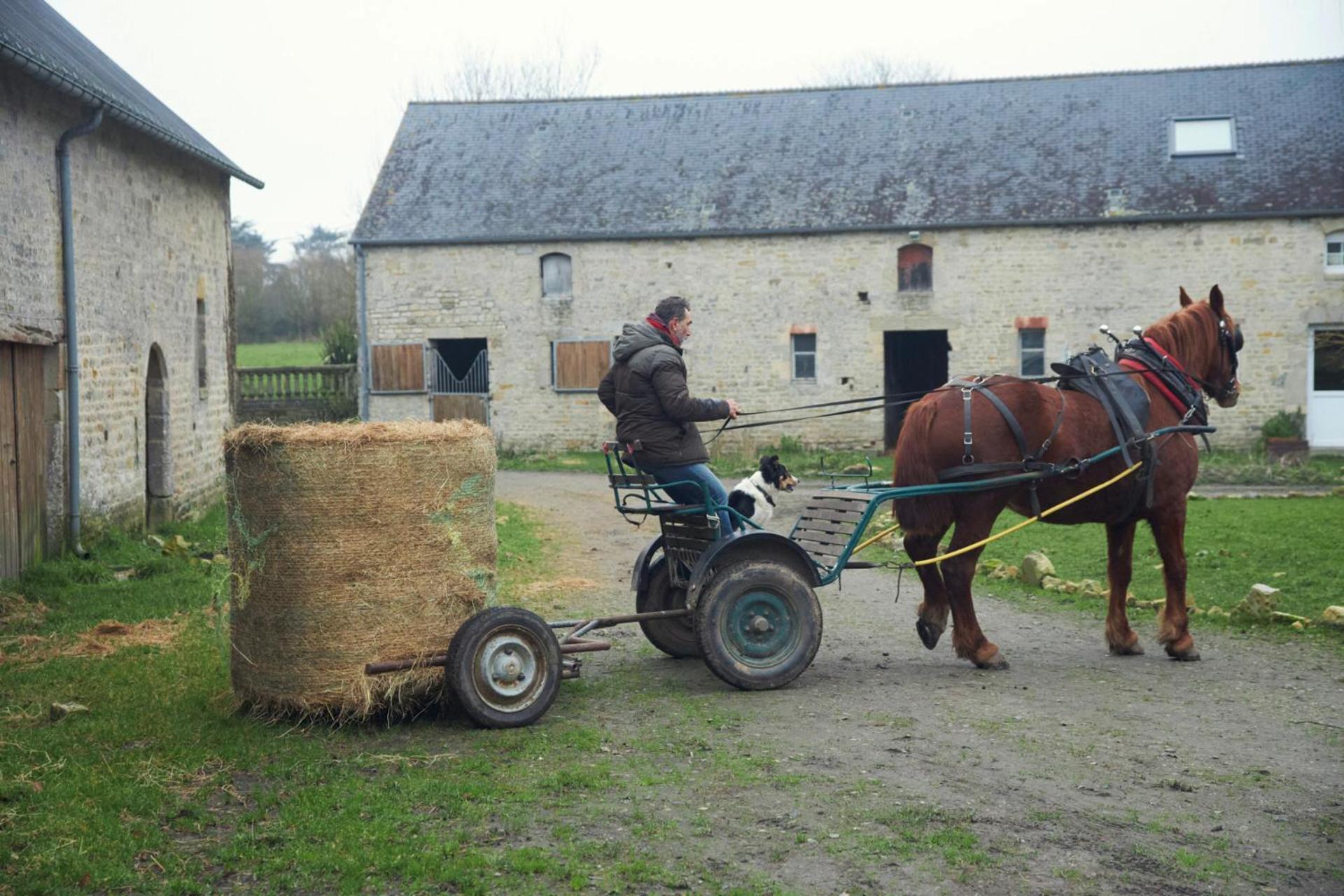 Ferme De Franqueville Sainte-Marie-du-Mont  Zewnętrze zdjęcie