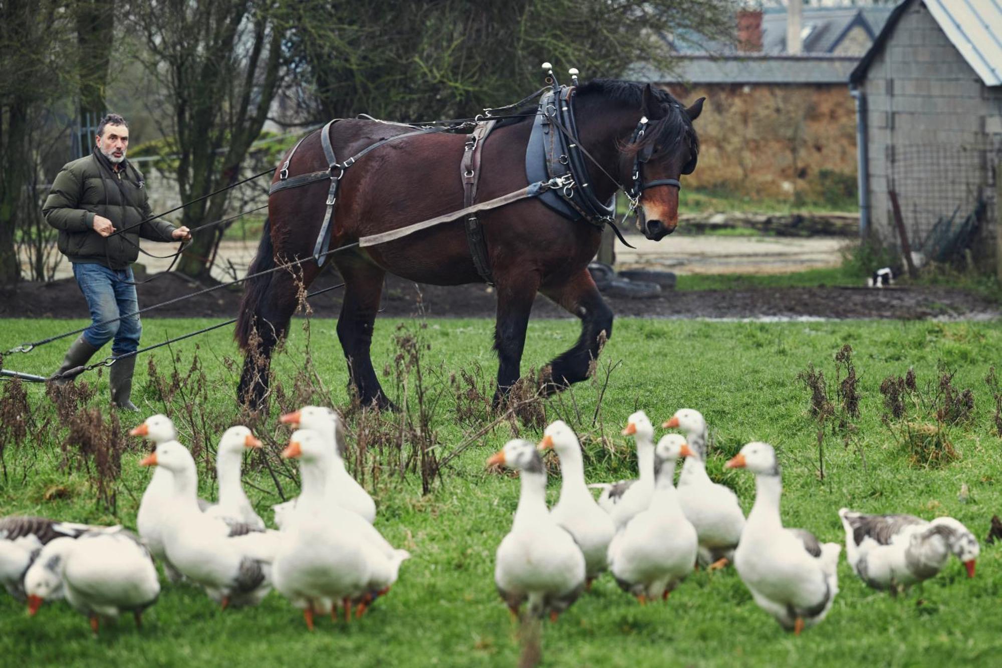 Ferme De Franqueville Sainte-Marie-du-Mont  Zewnętrze zdjęcie